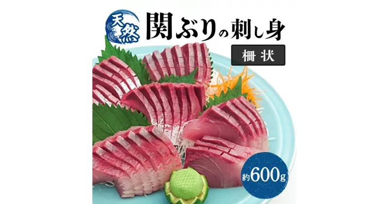 【ふるさと納税】関ぶりの刺し身（柵状） 約600g 関ぶり ブリ ぶり 鰤 関ブリ 関鰤 天然 国産 九州産 大分県産 ブランド魚 佐賀関 冷凍 魚介類 海産物 お刺身 刺身 さしみ 海鮮丼 寿司 ぶりしゃぶ 一本釣り グルメ お取り寄せ お取り寄せグルメ 新鮮 送料無料 E04014