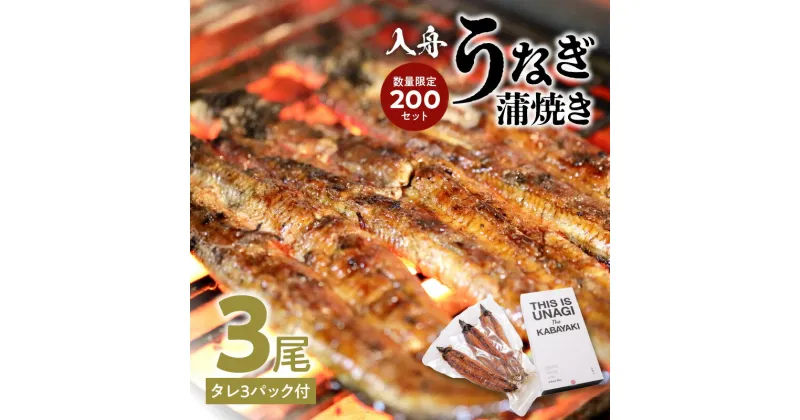 【ふるさと納税】入舟 うなぎ 蒲焼き ウナギ 鰻 3尾 タレ付き 数量限定 かば焼き うな重 うな丼 お茶漬け ひつまぶし 酒の肴 土用丑の日 丑の日 継ぎ足しのタレ スタミナ ミシュラン お取り寄せ お取り寄せグルメ 冷凍 E07004