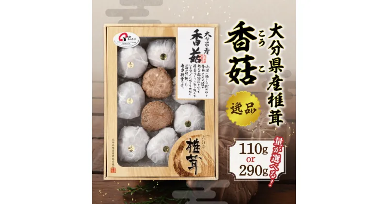 【ふるさと納税】大分県産椎茸 香こ 逸品【選べる内容量】110g～ 国産 大分産 大分県 しいたけ シイタケ 乾しいたけ 上こうこ 高級 ギフト 贈答 数量限定 煮物 炊き込みご飯 料理 ちらし寿司 鍋 炒め物