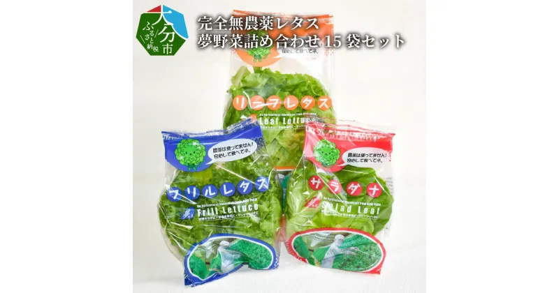 【ふるさと納税】完全無農薬レタス 夢野菜詰め合わせ15袋セット 国産 大分産 サラダ菜 リーフレタス フリルレタス 水耕栽培 安心 安全 洗浄済み 大量 まとめ買い 食物繊維 サンドウィッチ 寿司 新鮮野菜 洗わず食べられる野菜 健康 サラダ 農薬不使用 安心 九州産 F01003