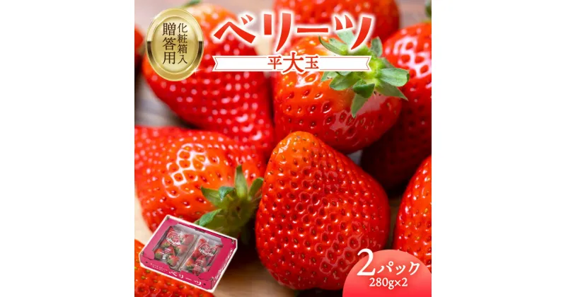 【ふるさと納税】【先行予約※2025年2月下旬より発送開始】大分県 ブランド いちご ベリーツ 平大玉 約280g×2パック 苺 イチゴ 大分県産 ストロベリー 果物 フルーツ スイーツ おやつ 新品種 贈り物 贈答 ギフト 化粧箱入り オリジナル品種 2パック お取り寄せ C07007