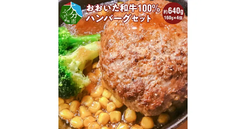 【ふるさと納税】3Dフリーザーで急速冷凍。美味しさそのまま！ 4つの味が楽しめる おおいた和牛100%ハンバーグセット 4個約640g 国産 豊後牛 箱入り トマトソース デミグラス 和風 湯煎 レンチン 食べ比べ 惣菜 ギフト 贈答 A05051