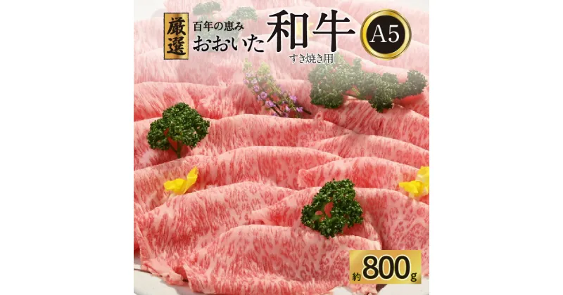 【ふるさと納税】百年の恵み おおいた和牛 A5 すき焼用【厳選部位】約800g 牛肉 黒毛和牛 豊後牛 和牛 肉質4等級以上 国産 鍋 ロース 肩ロース もも ギフト 贈答 冷凍 送料無料 霜降り ブランド牛 しゃぶしゃぶ すき焼き A01100