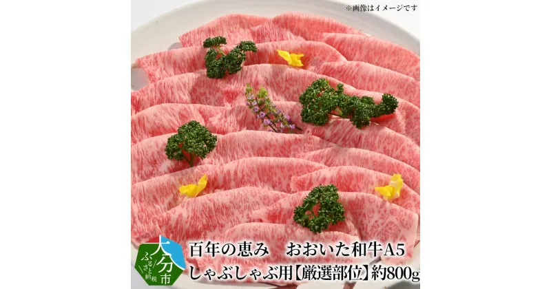 【ふるさと納税】牛肉 おおいた和牛 A5 しゃぶしゃぶ用 約 800g 百年の恵み 豊後牛 肉質4等級以上 霜降り 国産牛 ブランド肉牛 しゃぶしゃぶ 鍋 すき焼き ロース 肩ロース もも 肩 厳選部位 ギフト 贈答 贈り物 冷凍 送料無料 A01102