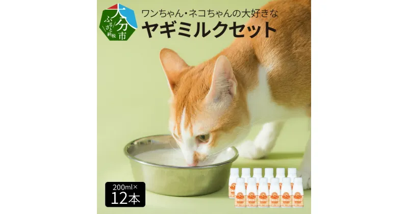 【ふるさと納税】 《レビューキャンペーン》ペット用 ヤギミルク セット 200ml×12本 ワンちゃん ネコちゃん 犬 猫 子犬 子猫 国産 低温殺菌 ウサギ 小動物 ペット ペットフード 栄養補給 発育促進 ご褒美 送料無料 冷凍 シニア犬 ペット用品 ペット用 ミルク R14080