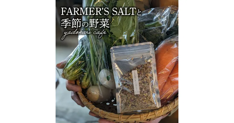 【ふるさと納税】FARMER’S SALT＋季節の野菜6種類　スパイス 調味料 岩塩 塩 ソルト 調味料 トッピング ベジタブル 添加物不使用 農薬不使用 無農薬野菜 粉末 にんにく ブラックペッパー 料理 やさい 岩塩 調味料 ドレッシング 野菜 肉 魚 おにぎり 加工品 K10028