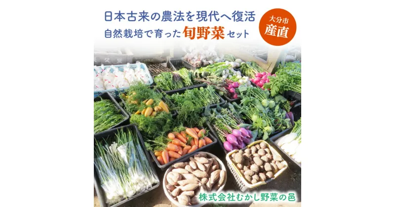 【ふるさと納税】むかし野菜の邑 大分市産直 自然栽培の野菜セット 野菜 にんじん ネギ トマト ピーマン キャベツ きゃべつ なす ナス 大根 旬菜 旬野菜 自然栽培米 米 ヒノヒカリ お米 小麦粉 もち麦 きな粉 瓜の粕漬け 小麦 大豆 自然循環農法 ごはん サラダ 旬 F01005