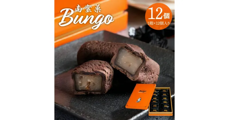 【ふるさと納税】 南蛮菓 Bungo（ぶんご） 12個入り 人気 白餡 和洋折衷 和菓子 スイーツ チョコレート ラム酒 ラムレーズン カカオ 南蛮文化 銘菓 お土産 贈答 贈り物 ギフト のし対応 焼き菓子 あんこ おやつ お菓子 チョコレート生地 餡子入り 豊後 九州 大分 J01047