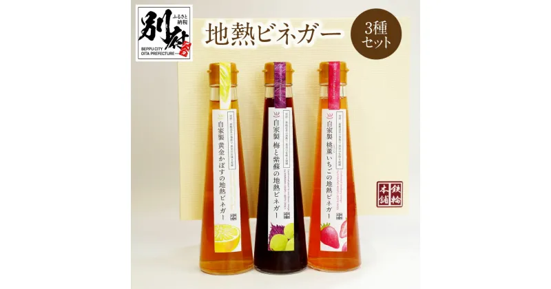 【ふるさと納税】地熱 ビネガー 3種 セット 200ml 3本 酢 フルーツ酢 いちご カボス 梅 紫蘇 酎ハイ ハイボール ビネガービール 甘酒 豆乳 かき氷のシロップ 飲み比べ 贈答品 プレゼント 鉄輪温泉 地獄蒸し お土産 ご当地 別府 大分県 送料無料