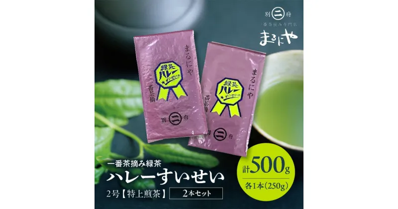 【ふるさと納税】一番茶 摘み 緑茶 ハレーすいせい2号 特上煎茶 250g 2袋 お茶 飲料 飲み物 グリーンティー グリーン茶 ティータイム お返し 深蒸し茶 オリジナルブレンド 高品質 九州産 国産 別府市 大分県 送料無料