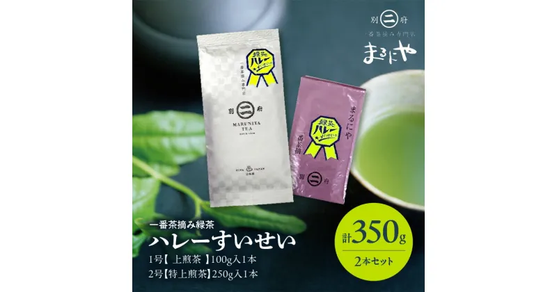 【ふるさと納税】緑茶 ハレーすいせい 2号 特上煎茶 タイプ 大 250g入 ハレーすいせい 1号 上煎茶 小 100g入 2本 セット お茶葉 グリーンティー グリーン茶 飲料 飲み物 飲み比べ 一番茶 ティータイム お返し お取り寄せ 九州産 国産 別府市 大分県 送料無料