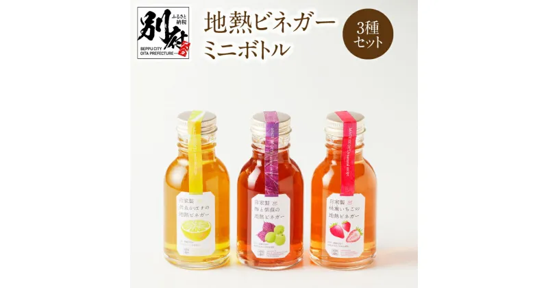 【ふるさと納税】地熱ビネガー ミニボトル 105ml 3種 セット フルーツ 果物 くだもの 酢 調味料 いちご かぼす 梅 うめ 紫蘇 しそ 鉄輪 温泉 地獄蒸し 温泉水 自然派食品 ソーダ割 炭酸割 豆乳割 味比べ 飲み比べ お取り寄せ 詰め合わせ 大分県 別府市 送料無料