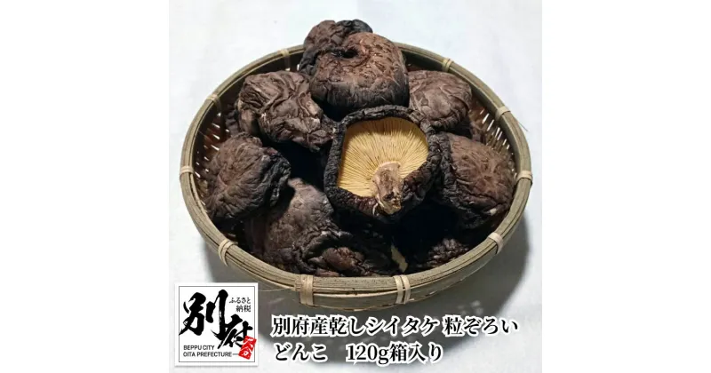 【ふるさと納税】椎茸 乾しシイタケ 粒ぞろい どんこ 120g 箱入り 1箱 別府産 路地栽培 伝統製法 和食 出汁 ギフト 贈り物 プレゼント お土産 大分県 別府市 食品 きのこ お取り寄せ お取り寄せグルメ 送料無料