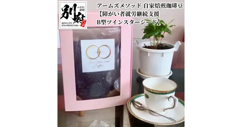 【ふるさと納税】珈琲豆 100g 自家焙煎 アームズメソッド フェアトレード 生豆 コーヒー 焙煎 常温 ほどよい酸味 まろやかな苦味 ギフト 贈り物 プレゼント 障がい者就労継続支援B型 ツインスターシード 大分県 別府市 お取り寄せ 送料無料