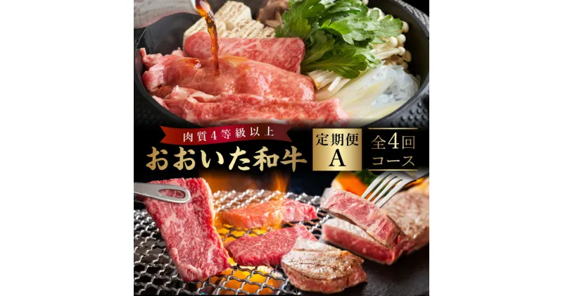 【ふるさと納税】定期便 おおいた和牛 定期便A 牛肉 ビーフ 黒毛和牛 国産 ブランド牛 4等級以上 食品 加工品 豊後牛 焼肉 すき焼き サーロイン ステーキ おかず お弁当 おつまみ BBQ バーベキュー ご褒美 お祝い 記念日 お取り寄せ グルメ 大分県 別府市 送料無料