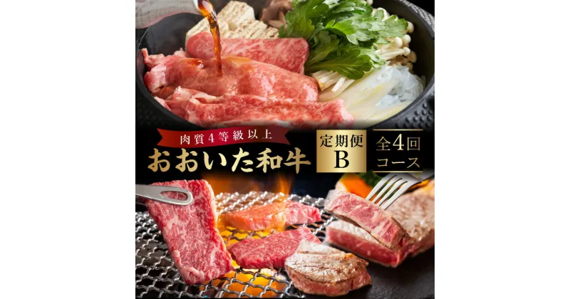 【ふるさと納税】定期便 おおいた和牛 定期便B 牛肉 ビーフ 黒毛和牛 国産 ブランド牛 食品 加工品 豊後牛 焼肉 すき焼き サーロイン 4等級以上 ステーキ おかず お弁当 おつまみ BBQ バーベキュー ご褒美 お祝い 記念日 お取り寄せ グルメ 大分県 別府市 送料無料