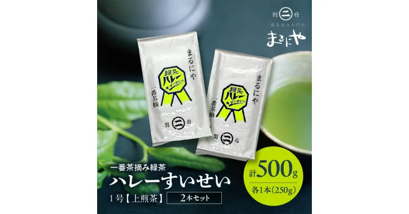 【ふるさと納税】一番茶摘み緑茶ハレーすいせい1号(上煎茶)250g 2本セット 飲料 飲み物 国産 食品 緑茶 茶葉 深蒸し グリーンティー グリーン茶 ティータイム 濃厚 旨み おもてなし お茶会 人気 おすすめ ギフト 贈り物 贈答 プレゼント お取り寄せ グルメ 別府市 送料無料