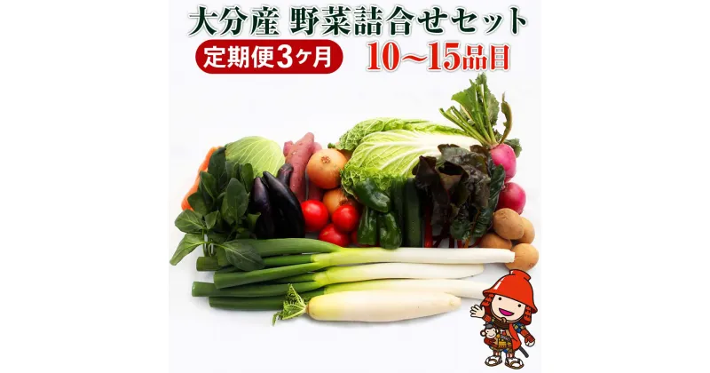 【ふるさと納税】【3ヶ月定期便】九州野菜セット 大分県中津産 春夏秋冬野菜セット10〜15品×3回 毎月1回 JA直売所直送野菜 新鮮 産地直送 送料無料