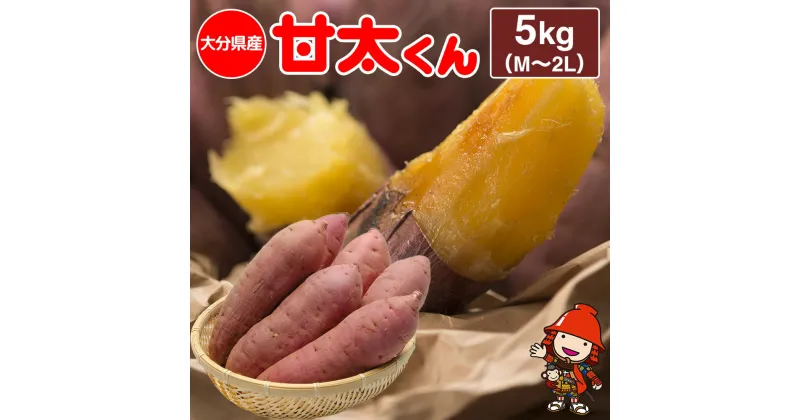 【ふるさと納税】【先行予約・期間限定】大分県産かんしょ 甘太くん 5kg M・L・2L さつまいも さつま芋 サツマイモ 紅はるか べにはるか 焼き芋 九州産 中津市 国産 送料無料【発送は2024年11月下旬〜2025年4月下旬】