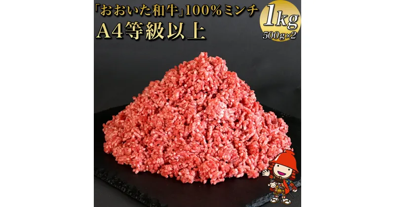 【ふるさと納税】おおいた和牛100％ミンチ 1kg（500g×2） 和牛 挽肉 ひき肉 豊後牛 大分県産 小分け 国産 冷凍 送料無料