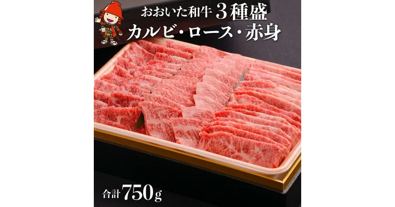 【ふるさと納税】おおいた和牛 3種盛 カルビ ロース 赤身 合計750g （250g×3） 豊後牛 焼肉 焼き肉 肉質 4等級以上 小分け お肉 肉 和牛 国産 九州産 大分県産 冷凍 送料無料