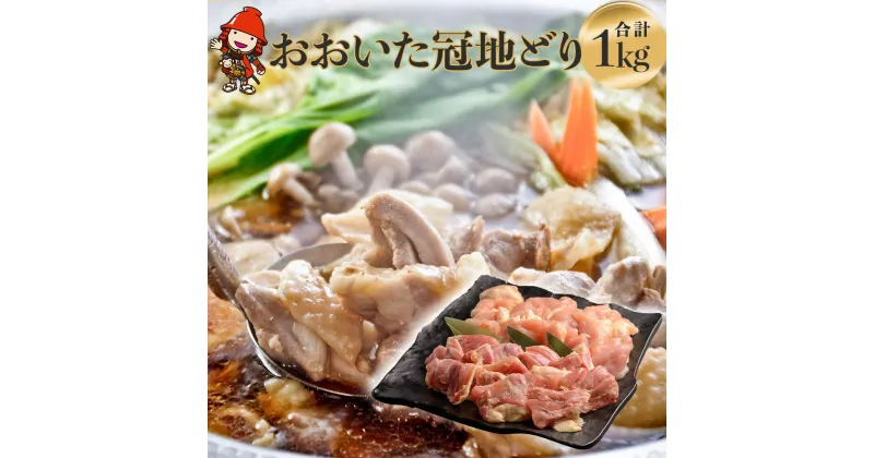 【ふるさと納税】【数量限定】おおいた冠地どりセット 合計1kg もも肉 むね肉 各500g 小分け パック ブランド地鶏 地鶏 鶏肉 食べ比べ セット 大分県産 九州産 国産 冷凍 送料無料