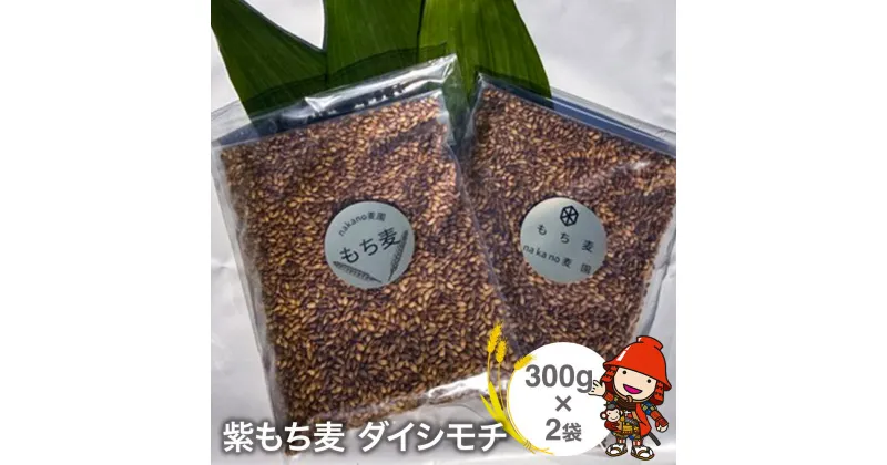 【ふるさと納税】もち麦 国産 紫もち麦 ダイシモチ 300g×2袋 大分県中津 もち麦ご飯 大麦 雑穀 食物繊維 九州産 送料無料