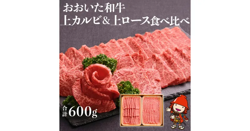 【ふるさと納税】おおいた和牛 食べ比べセット（上カルビ＆上ロース）【合計600g】小分け 中津市 大分県産 九州産 国産 冷凍 送料無料