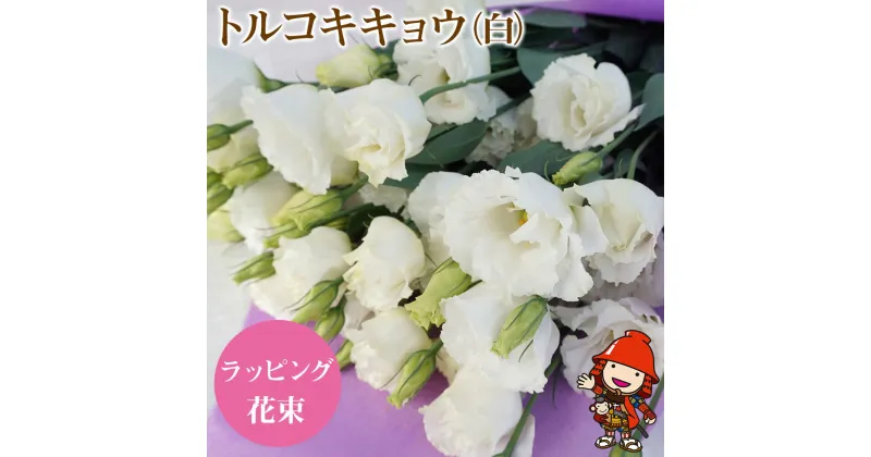 【ふるさと納税】【先行予約】生産農家直送の八重咲き中〜大輪フリル トルコキキョウ 花束 (白) ラッピング 1束 8本〜10本 ブーケ 生花 お花 フラワーギフト 大分県中津 送料無料／熨斗対応可 御祝 など【発送は2024年11月中旬～2025年6月中旬まで】