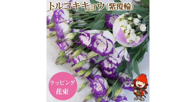 【ふるさと納税】【先行予約】生産農家直送の八重咲き中〜大輪フリル トルコキキョウ 花束 (紫覆輪) ラッピング 1束 8本〜10本 ブーケ 生花 お花 フラワーギフト 大分県中津 送料無料／熨斗対応可 御祝 など【発送は2024年11月中旬～2025年6月中旬まで】