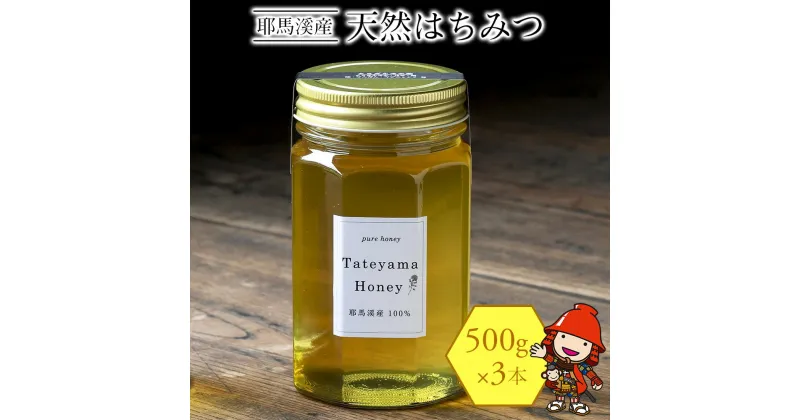 【ふるさと納税】耶馬溪産の天然はちみつ 季節の天然はちみつ（合計1.5kg）500g×3 はちみつ 蜂蜜 国産 非加熱 大分県産 九州産 中津市 国産 送料無料【発送は2024年6月上旬～12月下旬まで順次発送】