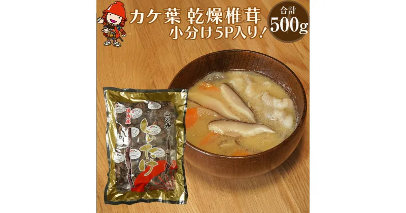 【ふるさと納税】乾燥椎茸 カケ葉 椎茸 100g×5パック 乾しいたけ 干し椎茸 干ししいたけ 乾燥しいたけ 干しシイタケ 原木 大分県産 九州産 中津市 国産 送料無料