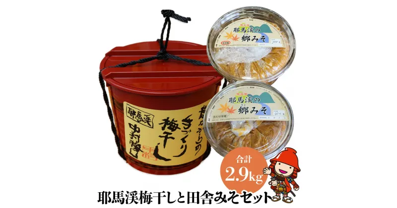 【ふるさと納税】C10.耶馬渓梅干しと田舎みそセット 梅干し 1.3kg 米味噌 合わせ味噌 郷みそ工房 中村梅園 自家製シソ 梅干 大分県産 九州産 中津市 国産 送料無料／熨斗対応可 お歳暮 お中元 など