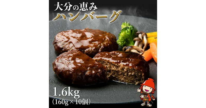 【ふるさと納税】大分の恵みハンバーグ 1.6kg (160g×10個) 牛肉 豚肉 ハンバーグ おかず お弁当 惣菜 冷凍 大分県産 九州産 国産 共通返礼品 中津市 豊後高田市 日出町 佐伯市 杵築市 竹田市 国東市 大分市 送料無料