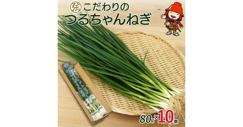 【ふるさと納税】弦本農園のこだわりのつるちゃんねぎ 80g×10束 葱 ねぎ ネギ 小葱 小ねぎ 小ネギ 薬味 大分県産 九州産 中津市 国産 送料無料／熨斗対応可 お歳暮 お中元 など