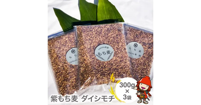 【ふるさと納税】もち麦 国産 紫もち麦 ダイシモチ 300g×3袋 大分県中津 もち麦ご飯 大麦 雑穀 食物繊維 九州産 送料無料