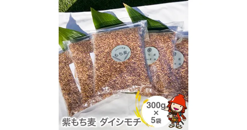 【ふるさと納税】もち麦 国産 紫もち麦 ダイシモチ 300g×5袋 大分県中津 もち麦ご飯 大麦 雑穀 食物繊維 九州産 送料無料