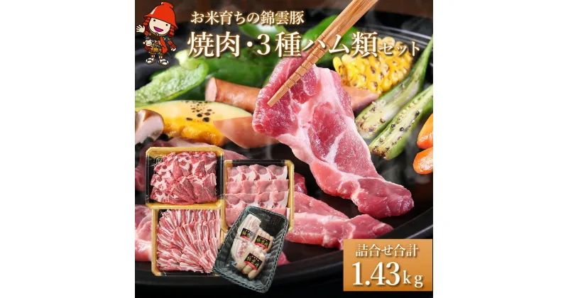 【ふるさと納税】お米育ちの錦雲豚 焼肉ギフト セット 焼肉用1kgと3種のハム類セット ブランド豚 九州産 大分県産 国産 冷凍 送料無料