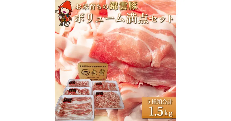 【ふるさと納税】ボリューム満点 錦雲豚 ブランド肉 5種類 合計1.5kg セット ロース バラ肉 もも うで ミンチ ブランド豚 九州産 大分県産 中津市 国産 冷凍 送料無料