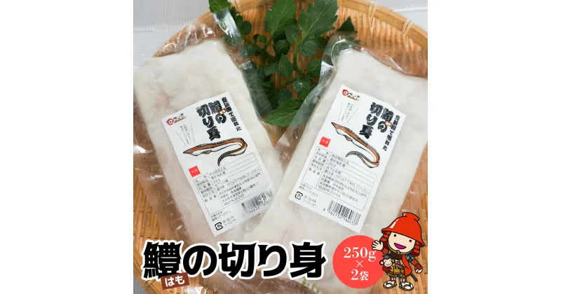 【ふるさと納税】鱧の切り身 250g×2袋 合計500g 大分県中津産 鱧 はも ハモ 魚の切り身 お鍋 水炊き フライ 天ぷら 産地直送 大分県中津産 九州産 送料無料【発送は2024年6月1日～2024年11月30日までの予定】