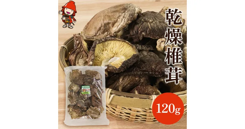 【ふるさと納税】乾燥椎茸 徳用 120g 原木栽培 乾しいたけ 干し椎茸 干ししいたけ 乾燥しいたけ 干しシイタケ 大分県産 九州産 中津市 国産 送料無料／熨斗対応可 お歳暮 お中元 など