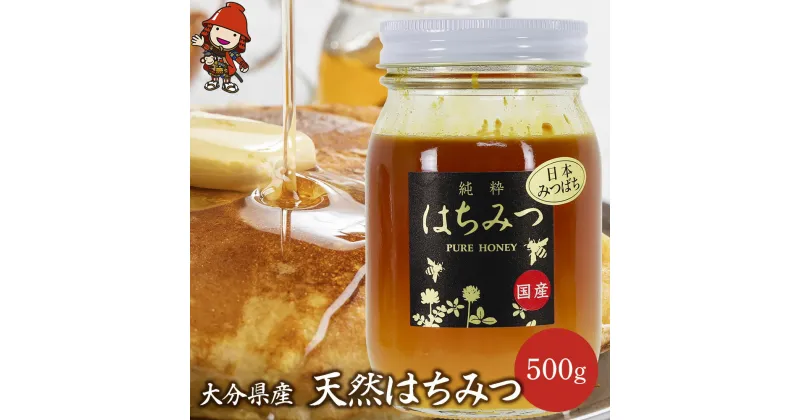 【ふるさと納税】天然はちみつ 500g 国産 日本 蜂蜜 非加熱 はちみつ ハチミツ 百花蜂蜜 大分県産 九州産 中津市 国産 送料無料