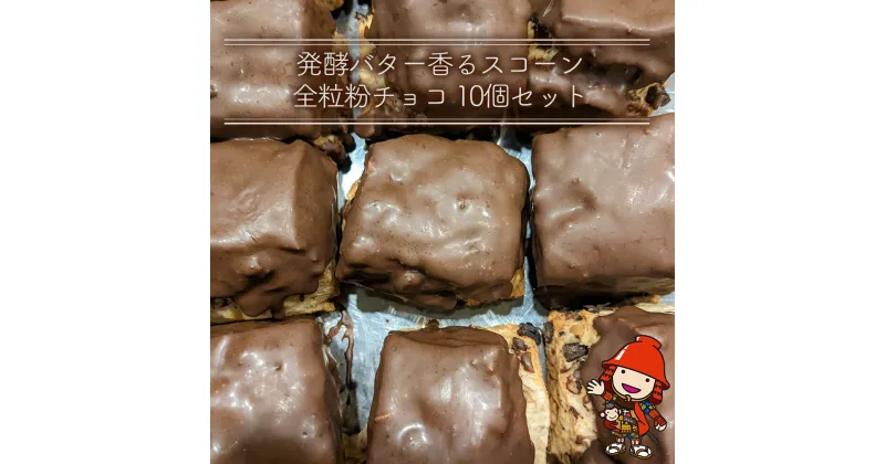 【ふるさと納税】発酵バター香る リッチな生クリームスコーン 全粒粉チョコ10個セット 手作り お菓子 おやつ ギフト 焼き菓子 スイーツ 大分県産 九州産 中津市 国産 送料無料／熨斗対応可 お歳暮 お中元 など