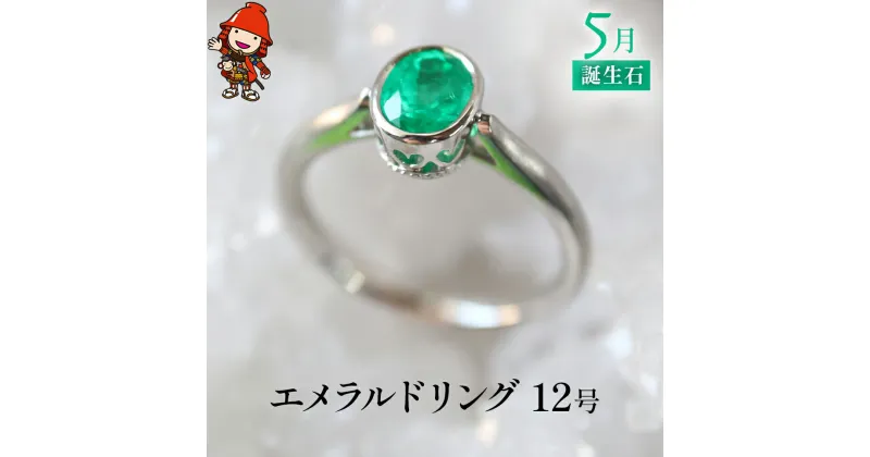 【ふるさと納税】エメラルド 指輪 リング 12号 レディース PT900 プラチナ アクセサリー 婚約指輪 プロポーズ 結婚指輪 誕生日 婚約 結婚 母の日 プレゼント 祝 記念日 女性 贈り物 大分県産 九州産 中津市 国産 送料無料