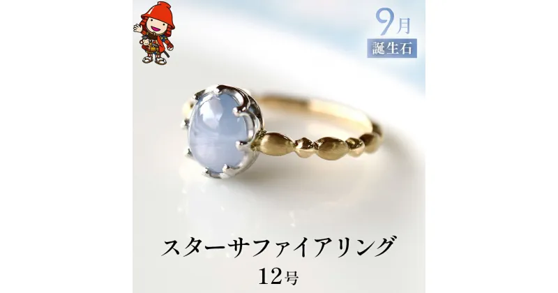 【ふるさと納税】誕生石 9月 スターサファイア 指輪 リング 12号 K18 PT900 プラチナ アクセサリー 婚約指輪 プロポーズ 結婚指輪 誕生日 婚約 結婚 母の日 プレゼント 祝 記念日 女性 贈り物 大分県産 九州産 中津市 国産 送料無料