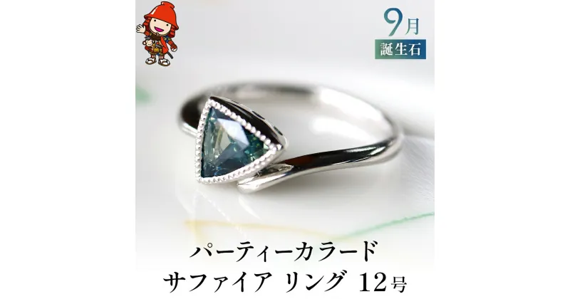 【ふるさと納税】誕生石 9月 パーティーカラード サファイア 指輪 リング 12号 PT900 プラチナ アクセサリー 婚約指輪 プロポーズ 結婚指輪 誕生日 婚約 結婚 母の日 プレゼント 祝 記念日 女性 贈り物 大分県産 九州産 中津市 国産 送料無料