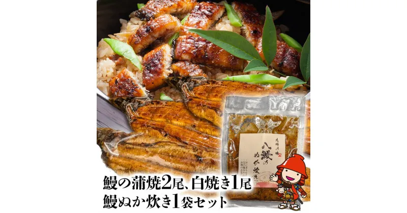 【ふるさと納税】うなぎ 鰻 蒲焼 2尾 白焼き 1尾 鰻ぬか炊き 1袋セット 竹乃屋 ウナギ 肉厚 直火焼き 備長炭 秘伝のタレ 大分県産 九州産 中津市 国産 送料無料／熨斗対応可 お歳暮 お中元 など