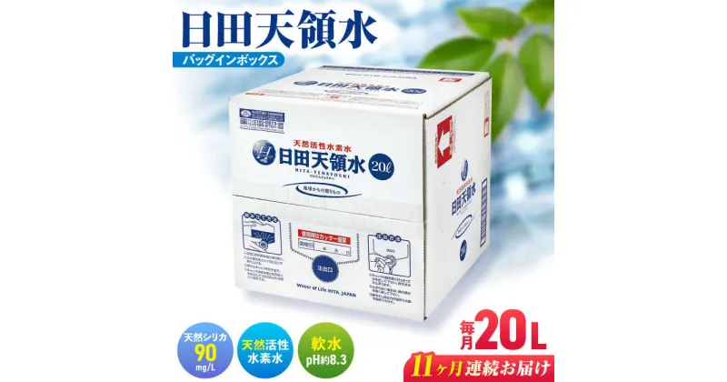 【ふるさと納税】【全11回定期便】日田天領水 20L×1箱 日田市 / グリーングループ株式会社[AREG004]