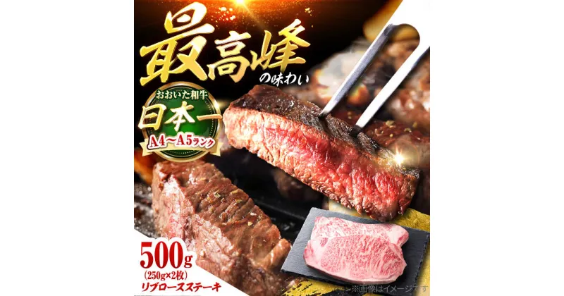 【ふるさと納税】おおいた和牛　リブロースステーキ 500g(250g×2枚) 日田市 / 株式会社OTOGINO[AREF129]