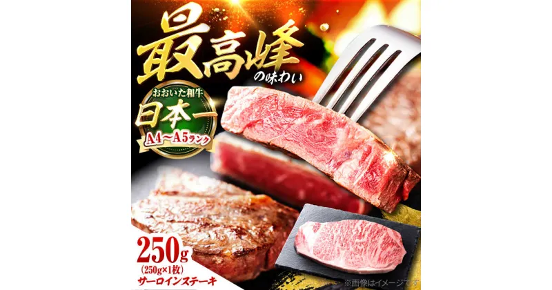 【ふるさと納税】おおいた和牛 サーロインステーキ 250g (250g×1枚) 日田市 / 株式会社OTOGINO[AREF052]